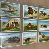 1910 Hassan Tobacco Indian Life in the 1860's Complete Set VG/Ex 50 cards