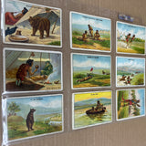 1910 Hassan Tobacco Indian Life in the 1860's Complete Set VG/Ex 50 cards