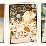 1978 SSCP NY Yankees Team set 27 cards