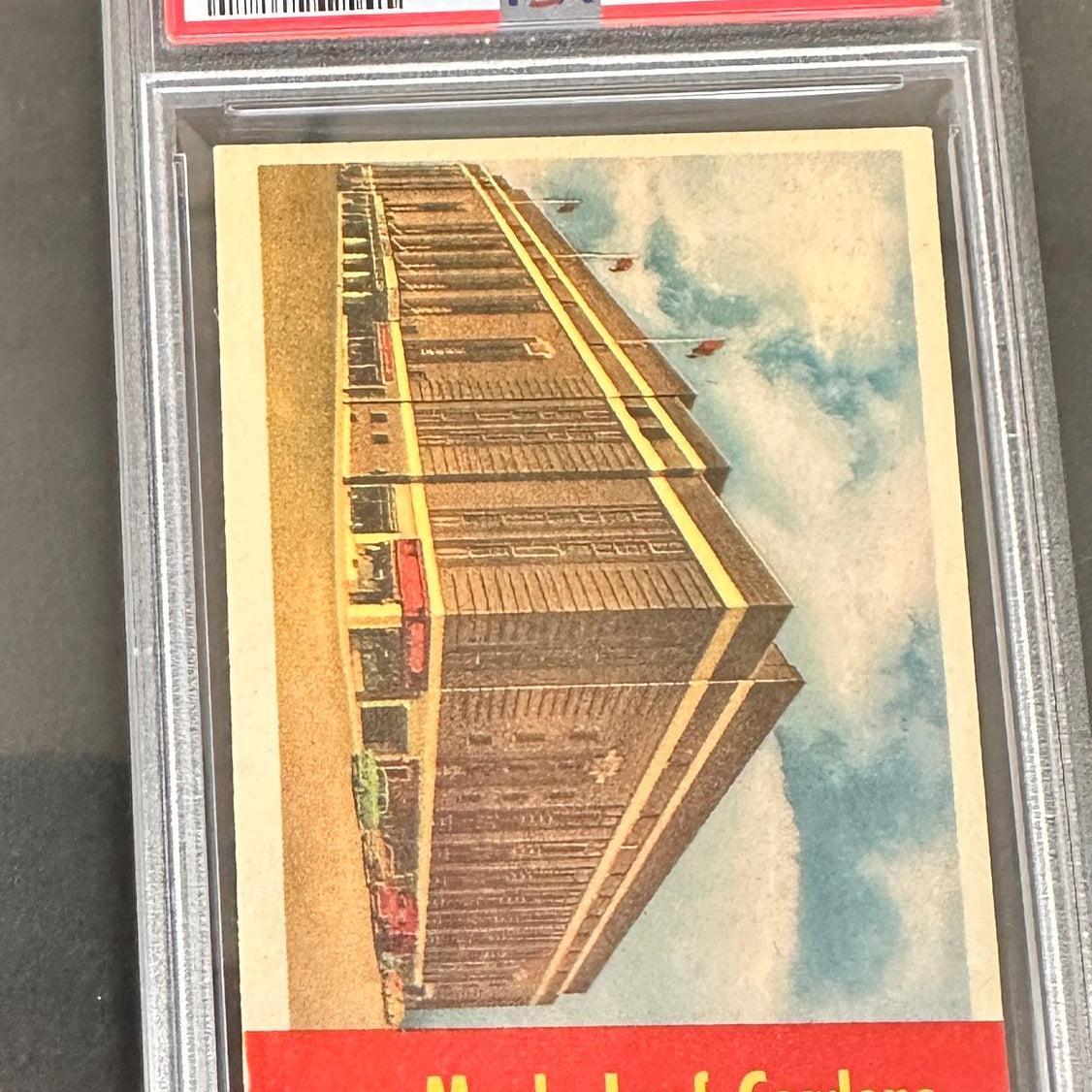 1955 Parkhurst #79 Maple Leaf Gardens